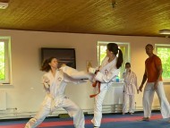 Letní seminář „CZECHIA CAMP EMESKAI“, Palkovické Hůrky ve dnech
27.6.-4.7.2026 a Letní ligový turnaj EMESKAI