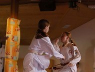 Letní seminář „CZECHIA CAMP EMESKAI“, Palkovické Hůrky ve dnech
27.6.-4.7.2026 a Letní ligový turnaj EMESKAI
