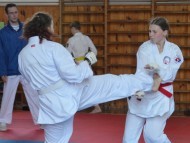 Přebor ČOS (české obce sokolské) v karate ve Vysokém Mýtě 30.5.2026