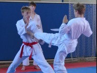 Přebor ČOS (české obce sokolské) v karate ve Vysokém Mýtě 30.5.2026