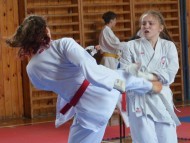 Přebor ČOS (české obce sokolské) v karate ve Vysokém Mýtě 30.5.2026