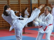 Přebor ČOS (české obce sokolské) v karate ve Vysokém Mýtě 30.5.2026