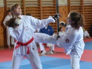 Přebor ČOS (české obce sokolské) v karate ve Vysokém Mýtě 30.5.2026