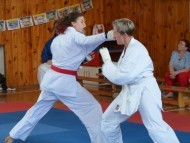 Přebor ČOS (české obce sokolské) v karate ve Vysokém Mýtě 30.5.2026