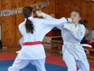 Přebor ČOS (české obce sokolské) v karate ve Vysokém Mýtě 30.5.2026